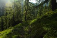 2015-07-04_1Binssattel (130).JPG